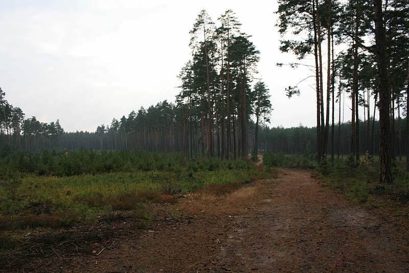 Rostoczek 11.2008 018